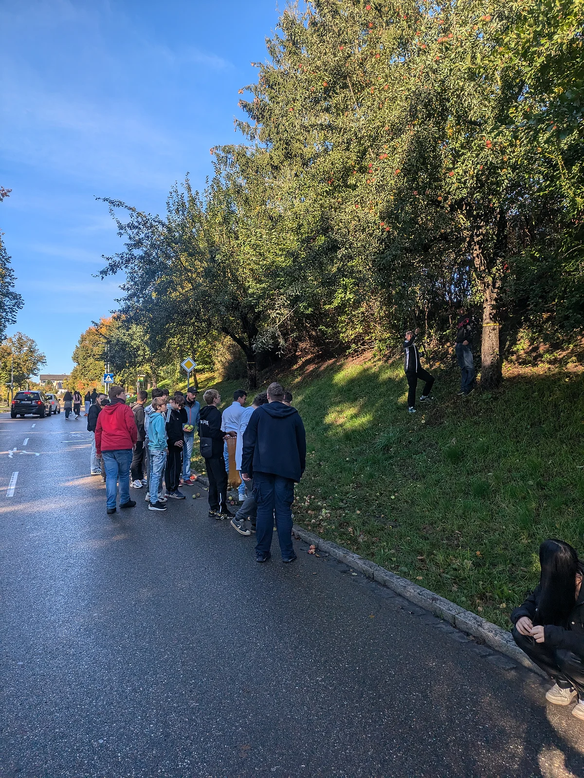 Verkauf Apfel(-Birnen)-Saft - Brombachsee-Mittelschule